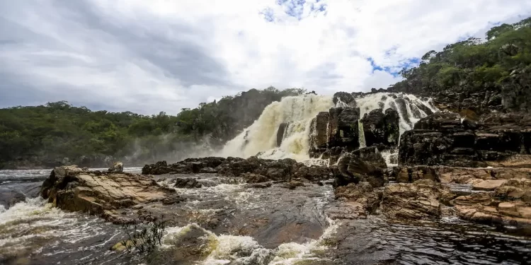 Sistema Nacional de Unidades de Conservação da Natureza faz 25 anos