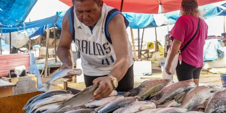 Produtores brasileiros começam a sentir efeitos da taxação dos EUA