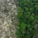 Brasil perdeu 111,7 milhões de hectares de áreas naturais em 40 anos