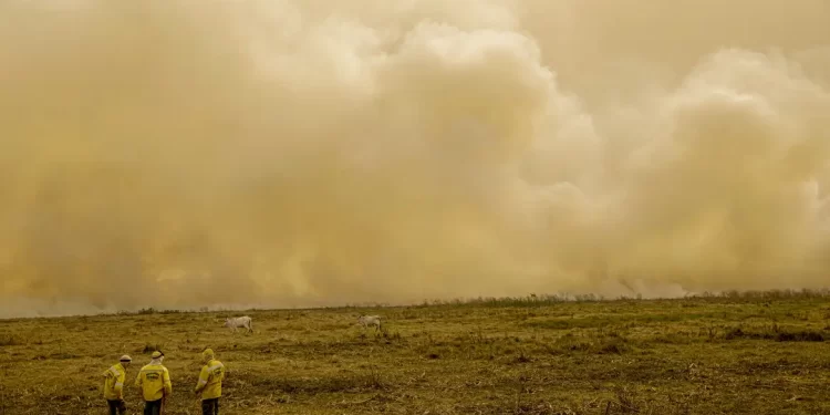 Agosto mantém baixos índices de queimadas após semana crítica