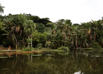 Concurso de Fotografia integra programação do Dia Mundial da Limpeza