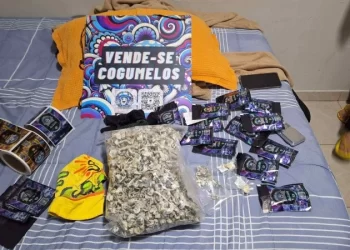 Grupo do DF que abastecia todo país com cogumelos alucinógenos é alvo da polícia