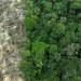 Pesquisa mede impacto de mudanças do clima e desmatamento na Amazônia