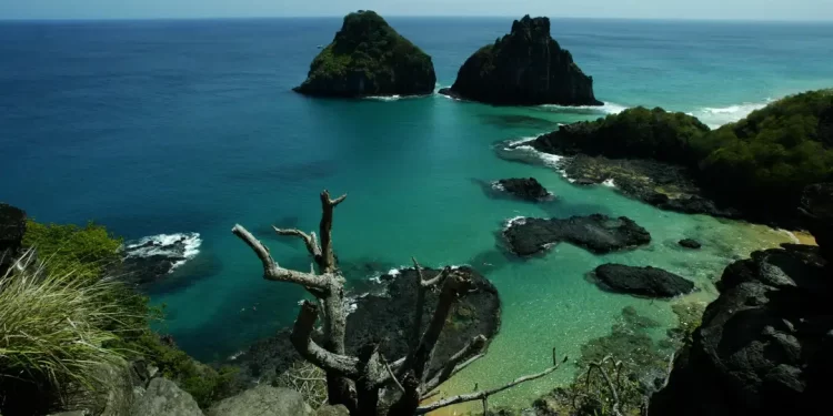 Quase 50% dos turistas usam redes como fonte de informação de viagem