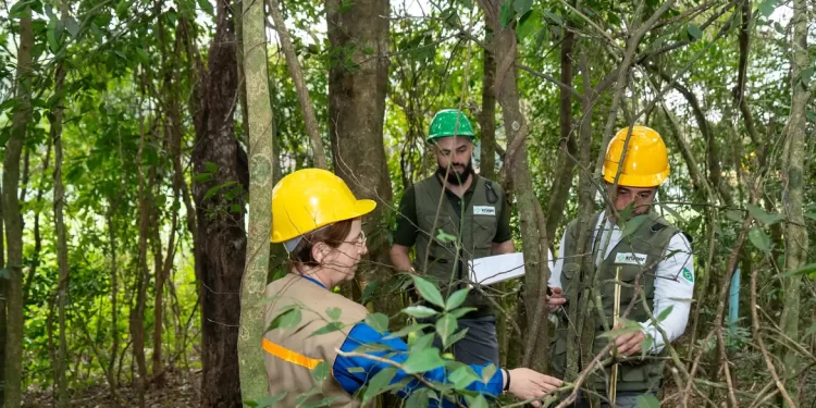 Itaipu triplica diversidade florestal nos arredores do reservatório