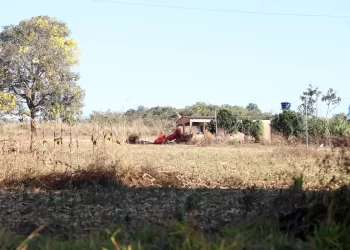 Defesa de fazendeiros em Goiás contesta decisão sobre quilombolas