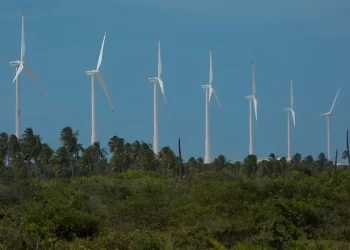 Inscrições para Olimpíada de Eficiência Energética já estão abertas