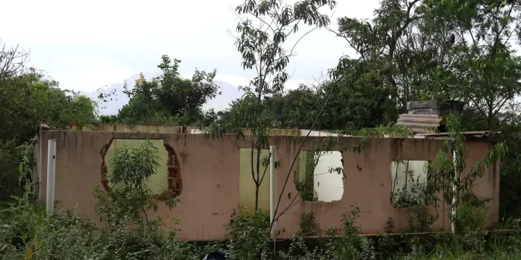 Brumadinho: Crea cancela registro de 15 engenheiros envolvidos