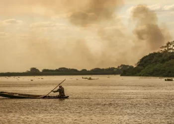 Pesquisadores alertam para armadilhas de mercantilizar pauta climática