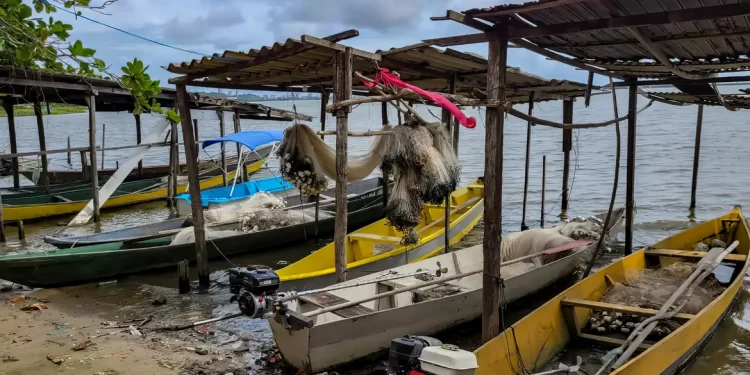 Início do defeso da piracema restringe pesca comercial no país