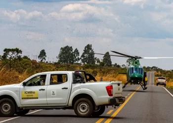 Chuva ajudou no combate a incêndios na Chapada dos Veadeiros