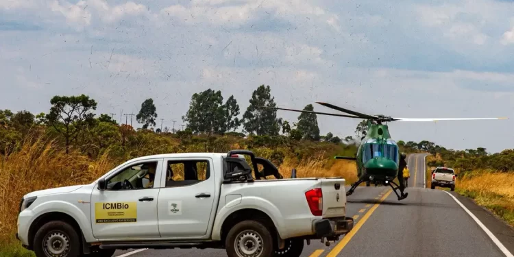 Chuva ajudou no combate a incêndios na Chapada dos Veadeiros