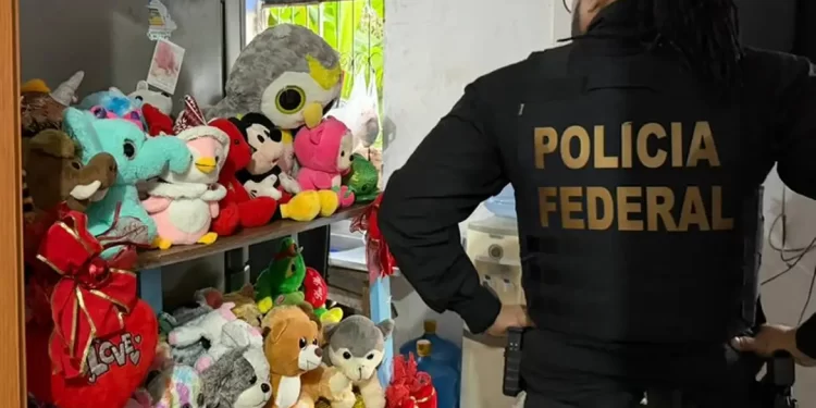 PF deflagra ação em todo o país contra abuso sexual de crianças