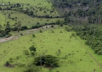 Governo prorroga prazo para georreferenciamento de imóveis rurais