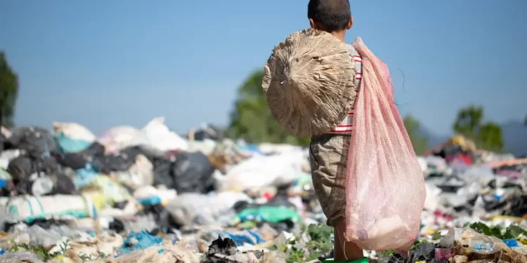 MEC publica cartilha sobre enfrentamento ao trabalho infantil