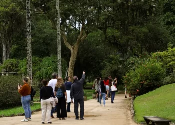 Dia da Consciência Negra: Jardim Botânico do Rio tem programa especial