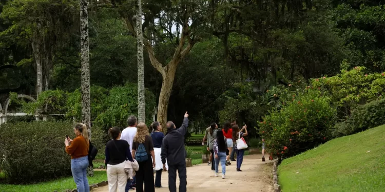 Dia da Consciência Negra: Jardim Botânico do Rio tem programa especial
