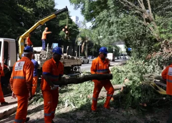 Há dois dias sem luz, moradores de São Paulo se adaptam e protestam