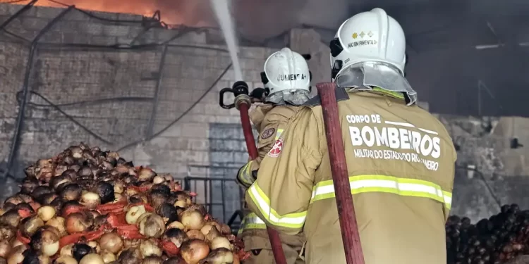 Incêndio de grandes proporções atinge Ceasa no Rio de Janeiro