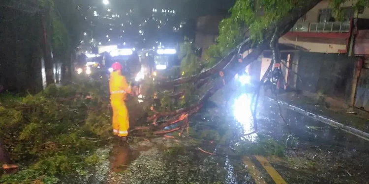 Ciclone deixa 1,2 milhão clientes sem energia em São Paulo
