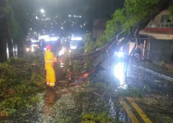 Ciclone deixa 1,2 milhão clientes sem energia em São Paulo