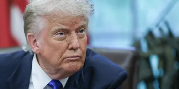 Anistia Internacional alerta para impactos da volta de Trump