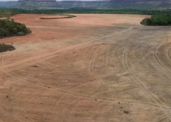 Processadoras de soja deixam acordo sobre desmatamento na Amazônia