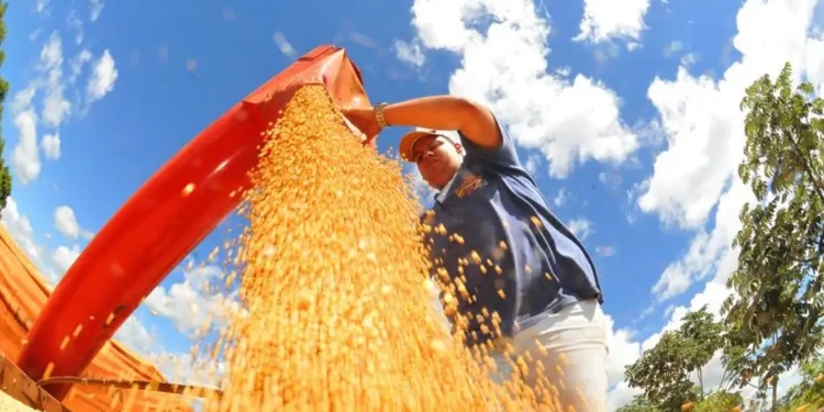 Atividade econômica brasileira cresce 0,6% em fevereiro