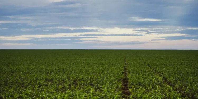 Fazenda estuda Fundo Garantidor para dívidas rurais