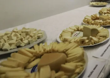 Brasil começa a importar queijo mais barato após acordo Mercosul–UE