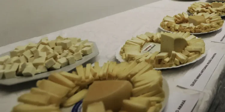 Brasil começa a importar queijo mais barato após acordo Mercosul–UE