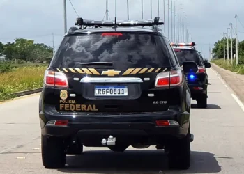 PF apreende mais de uma tonelada de maconha em rodovia paulista