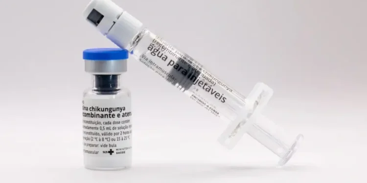 Butantan vai produzir vacina nacional contra chikungunya