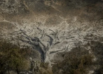 Mudanças climáticas já afetam 85% dos brasileiros, diz pesquisa