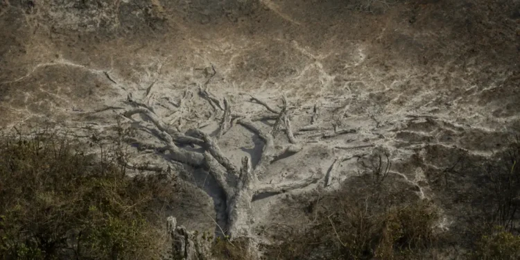Mudanças climáticas já afetam 85% dos brasileiros, diz pesquisa