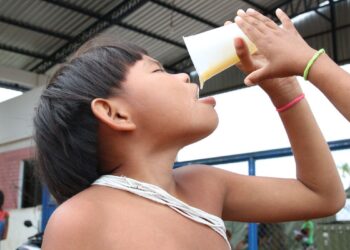 Consumo de alimentos ultraprocessados cresce entre povos tradicionais