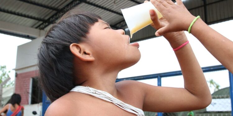 Consumo de alimentos ultraprocessados cresce entre povos tradicionais