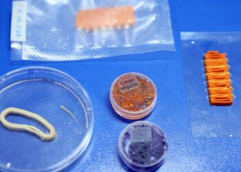 Embrapa produz em laboratório salmão, caviar e anéis de lula veganos