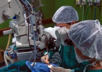 Risco cardíaco dobra para pacientes com doença de Chagas após cirurgia