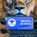 A 11 dias do fim do prazo, 40% não enviaram declaração do IRPF