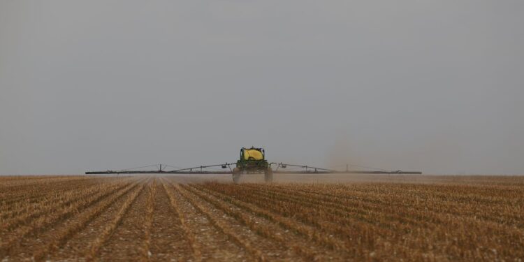 CMN aprova crédito de R$ 10 bilhões para inovação no agronegócio
