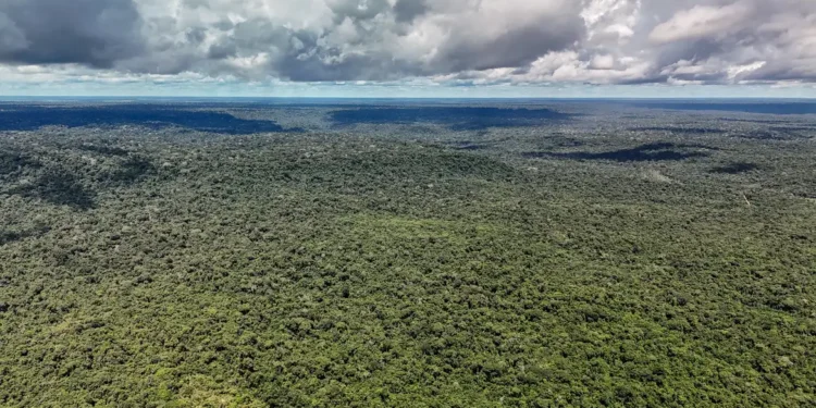 Adversária em campo, Noruega é parceira de ações ambientais do Brasil