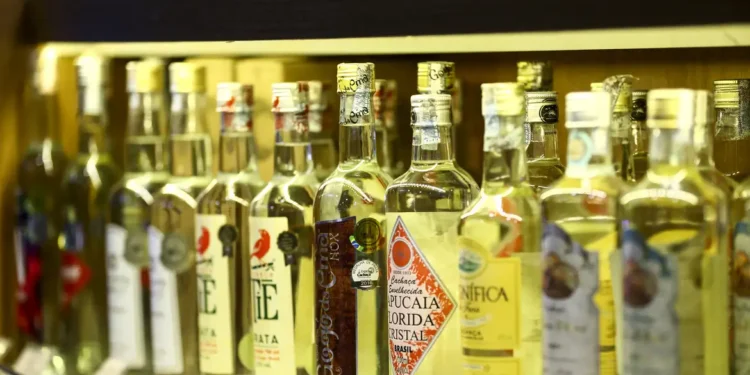 Cresce o número de estabelecimentos na cadeia produtiva da cachaça