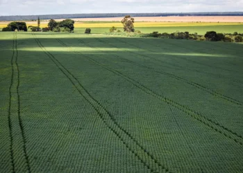 Senado aprova plano para fabricação de fertilizantes no Brasil