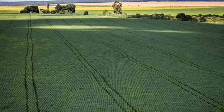 Senado aprova plano para fabricação de fertilizantes no Brasil