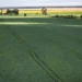Senado aprova plano para fabricação de fertilizantes no Brasil