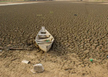 Brasil promete restaurar 163 mil km² de terras degradadas até 2030