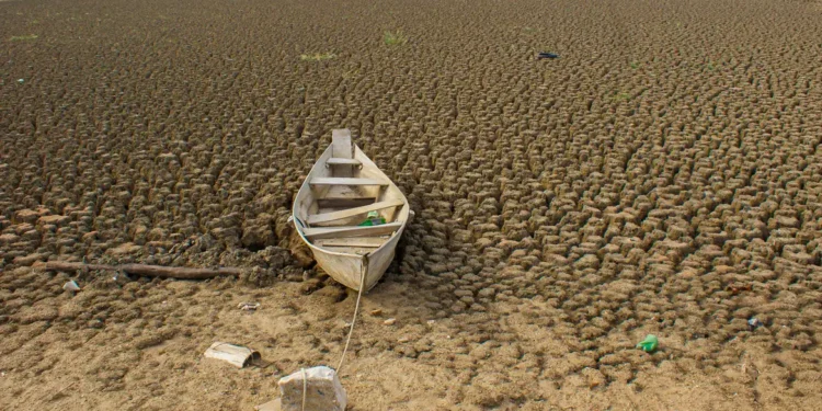Brasil promete restaurar 163 mil km² de terras degradadas até 2030