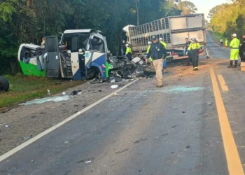 Corpos das vítimas de acidente no Paraná são retirados da pista