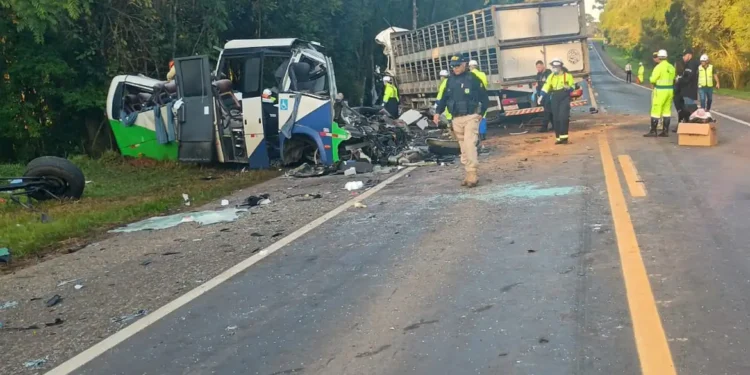 Corpos das vítimas de acidente no Paraná são retirados da pista